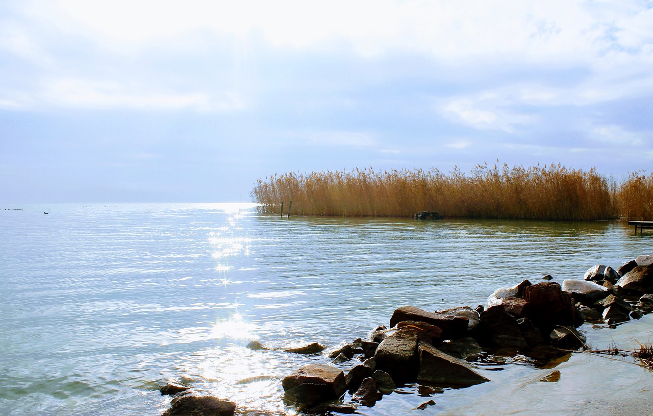 lake balaton water surface lake free photo