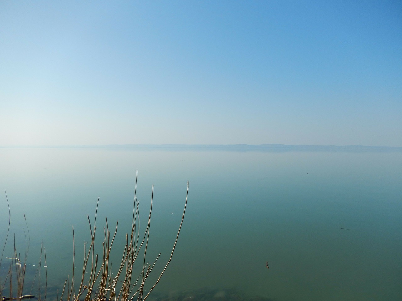 lake balaton lake nature free photo