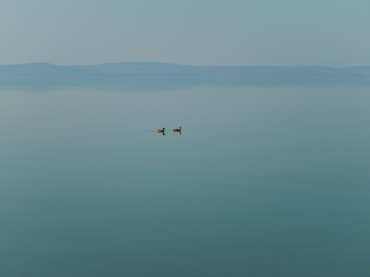 lake balaton lake nature free photo