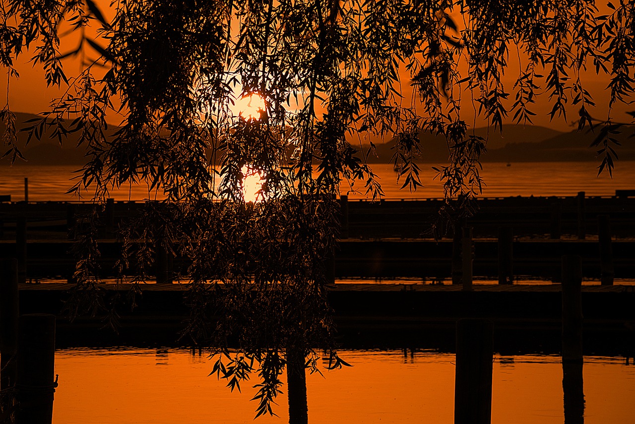 lake balaton sunset nature free photo