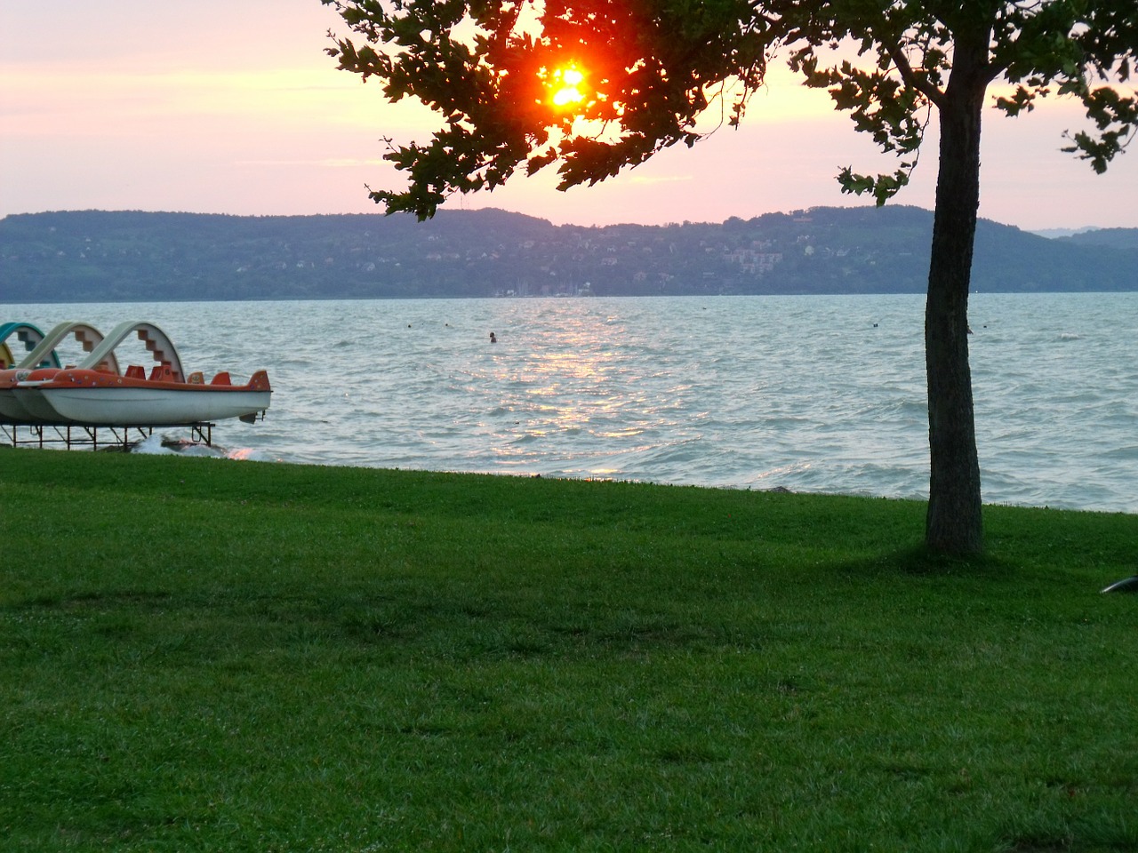 lake balaton summer water free photo