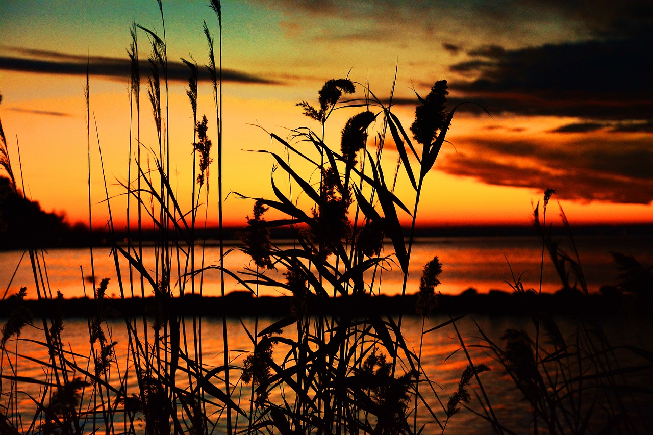 lake balaton sunset lake free photo