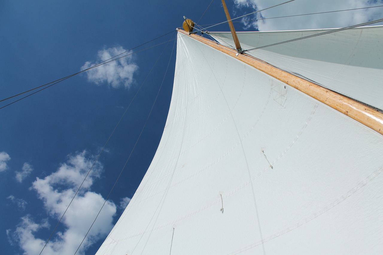 lake balaton sailing sail free photo