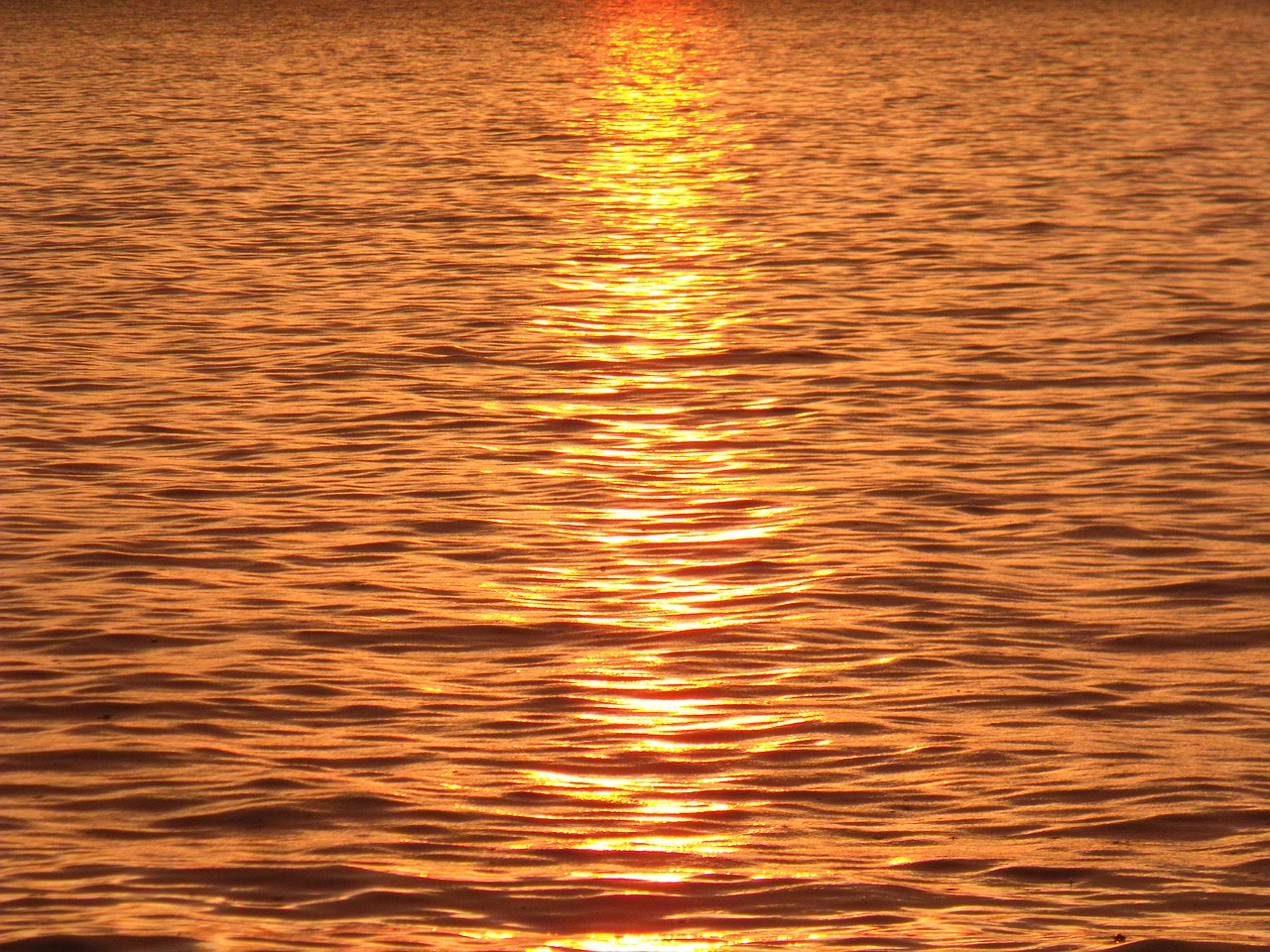 lake balaton water aranyhíd free photo