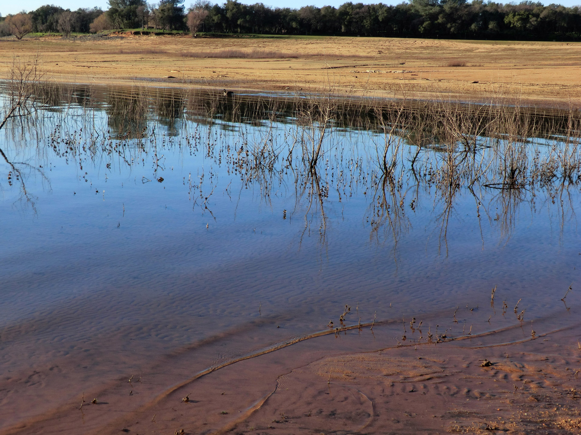 beach water lake free photo