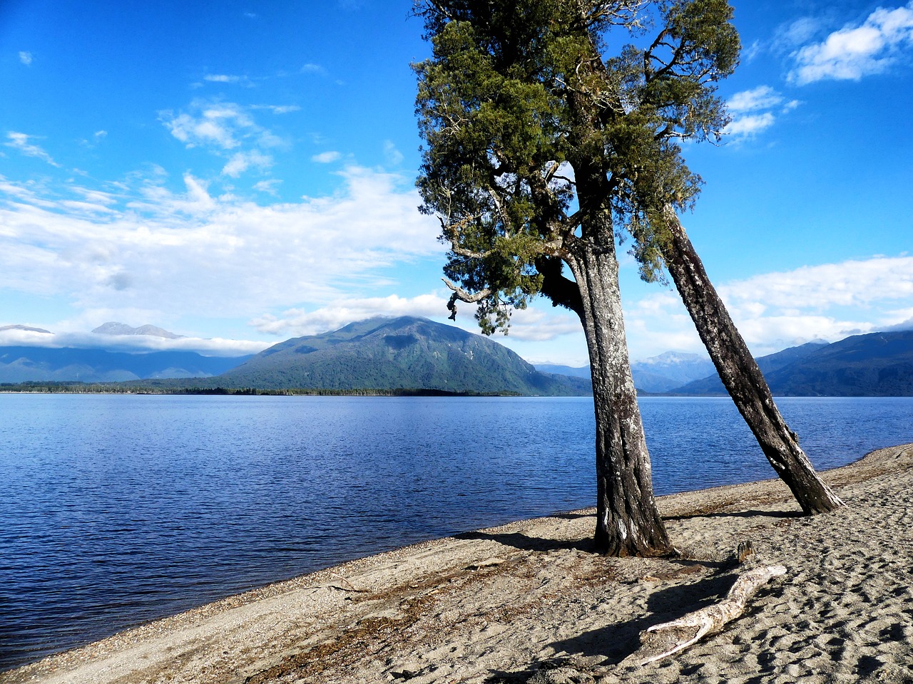 lake brunner  new zealand  lake free photo