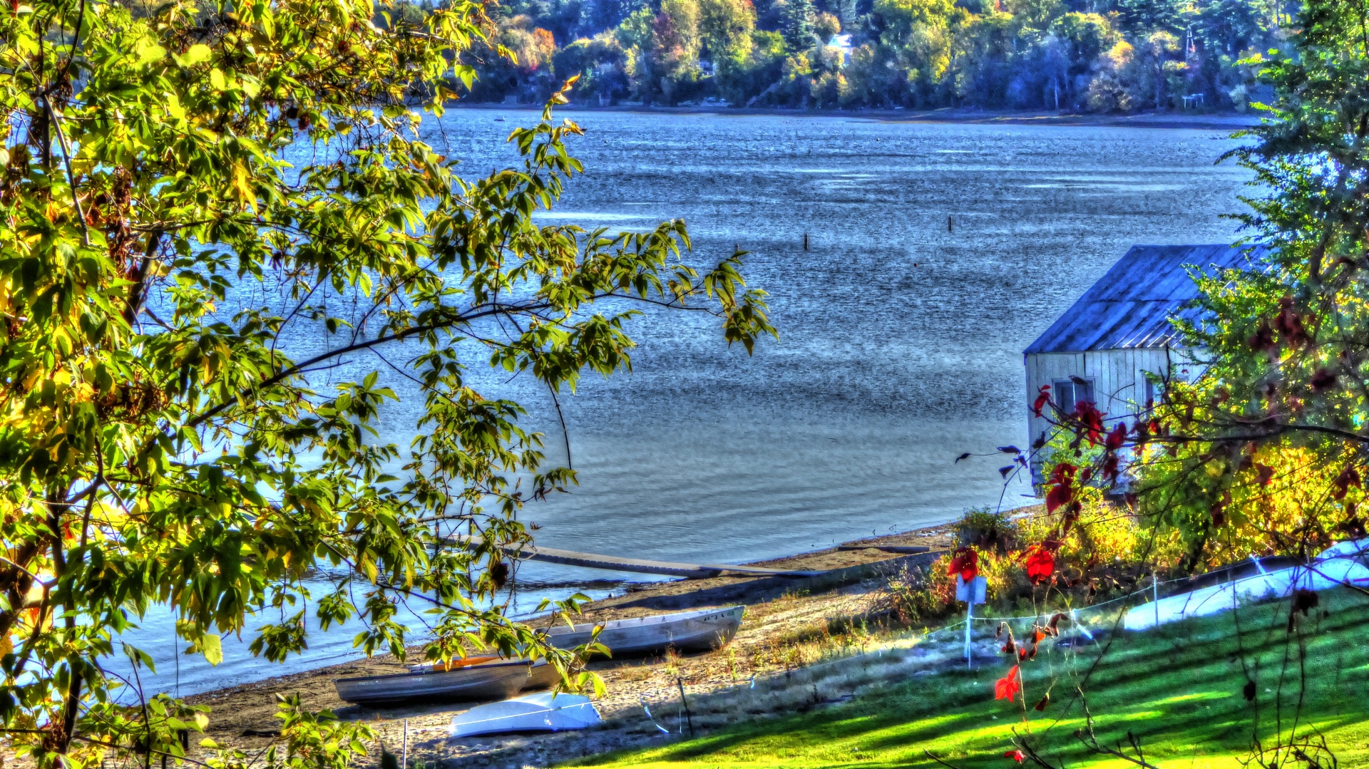 lake bay fishing free photo