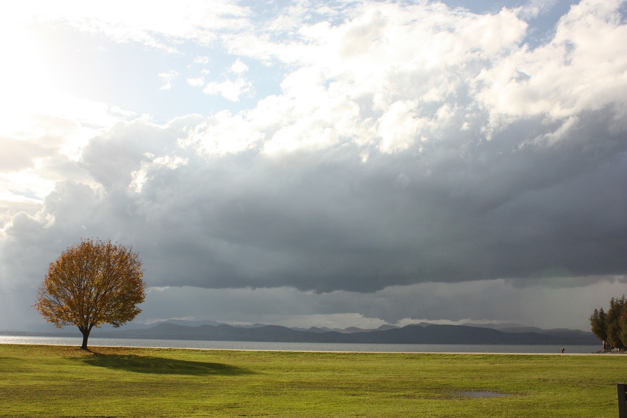 lake champlain autumn tree free photo