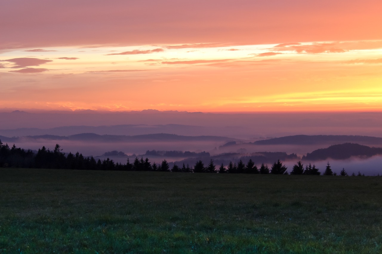 lake constance fog sunset free photo