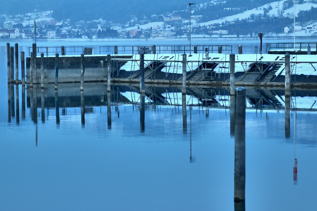 lake constance bregenz winter free photo