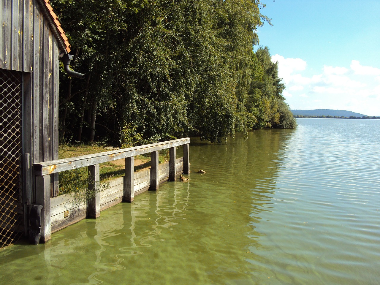 lake constance web boat house free photo