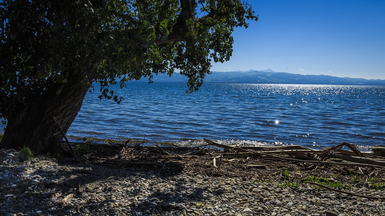 lake constance sail on the water free photo