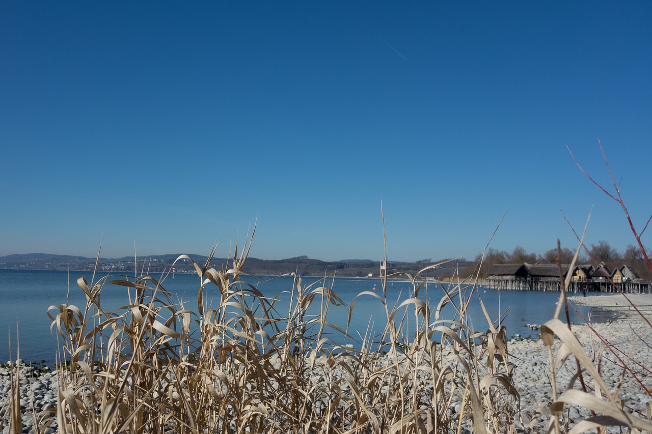 lake constance water beach free photo