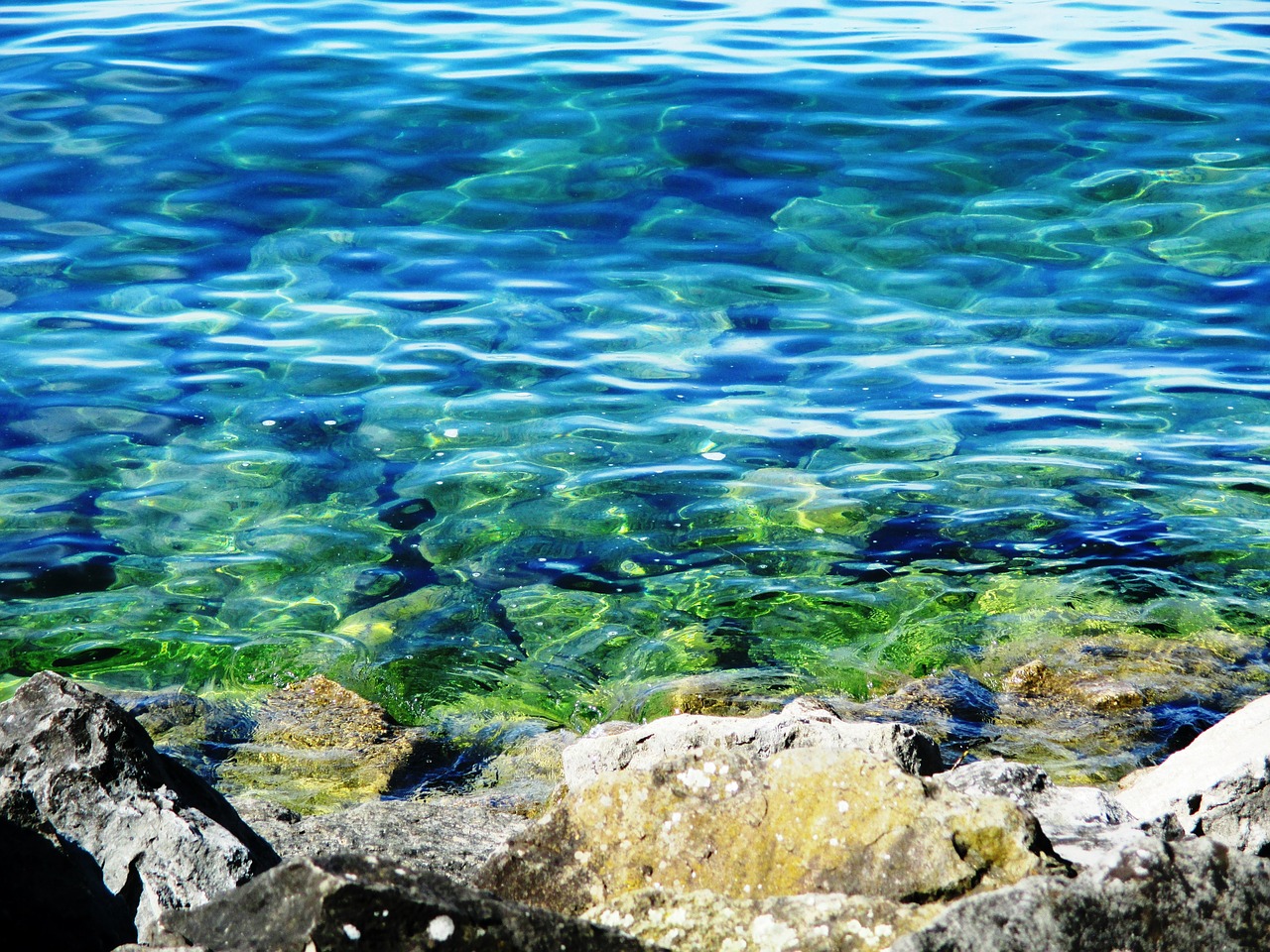 lake constance water surface wave free photo