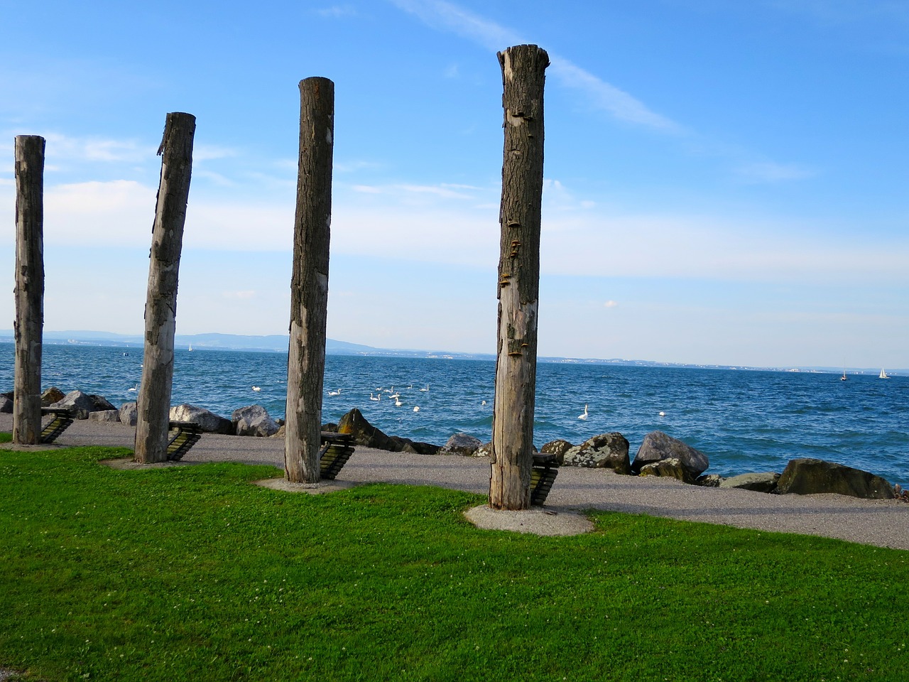 lake constance art tree trunks free photo