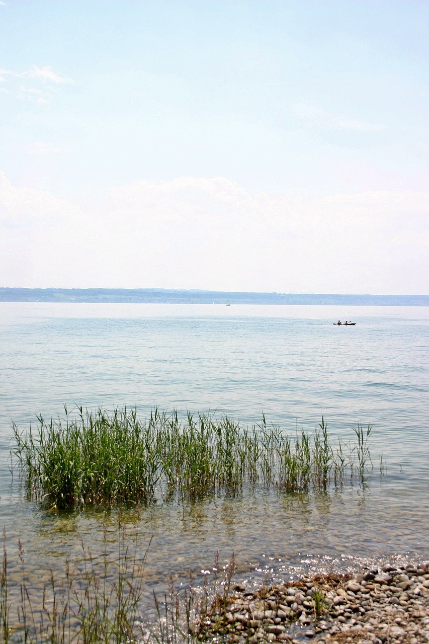 lake constance pebble water free photo