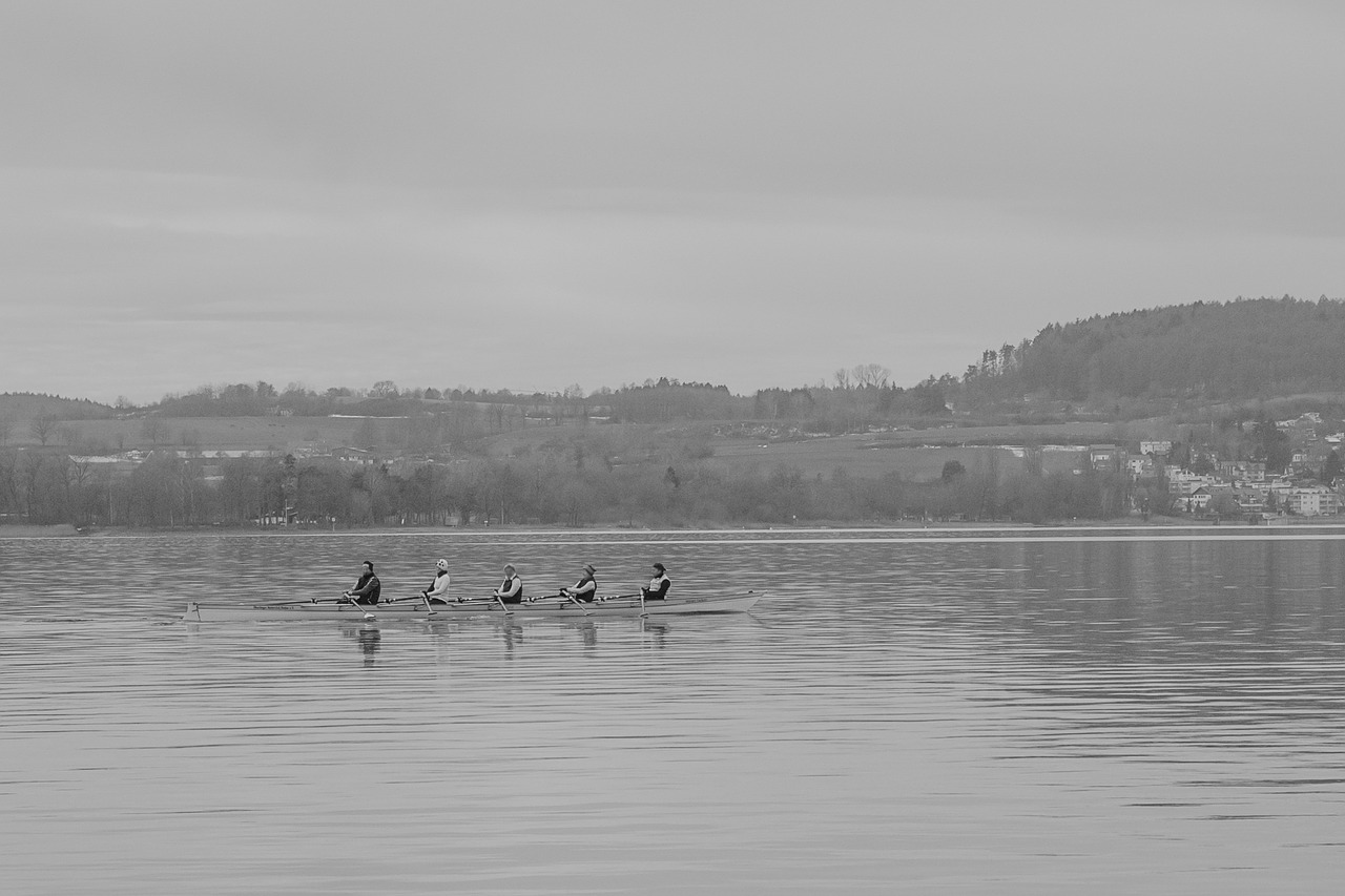 lake constance rowing rowing boat free photo