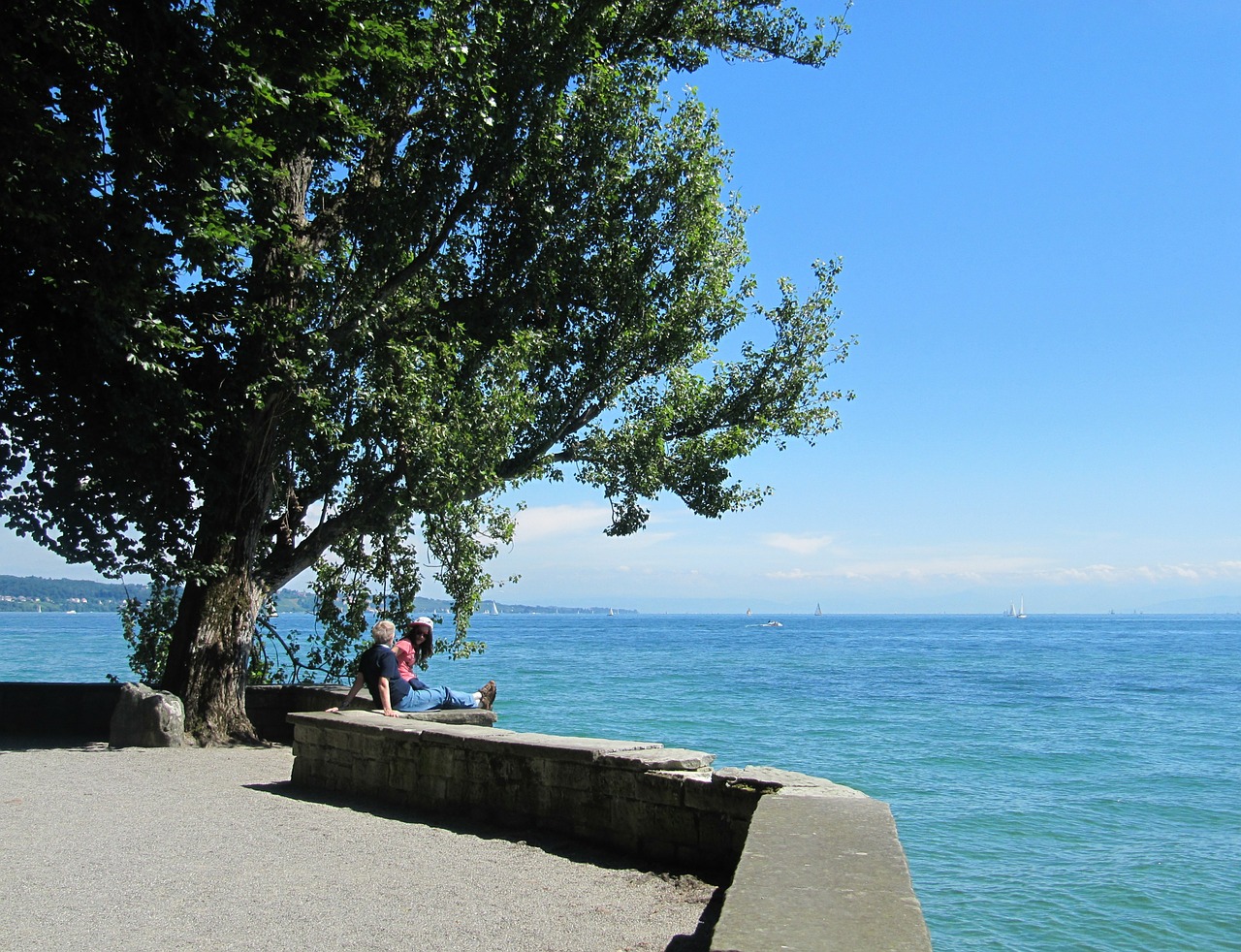 lake constance mainau island free photo