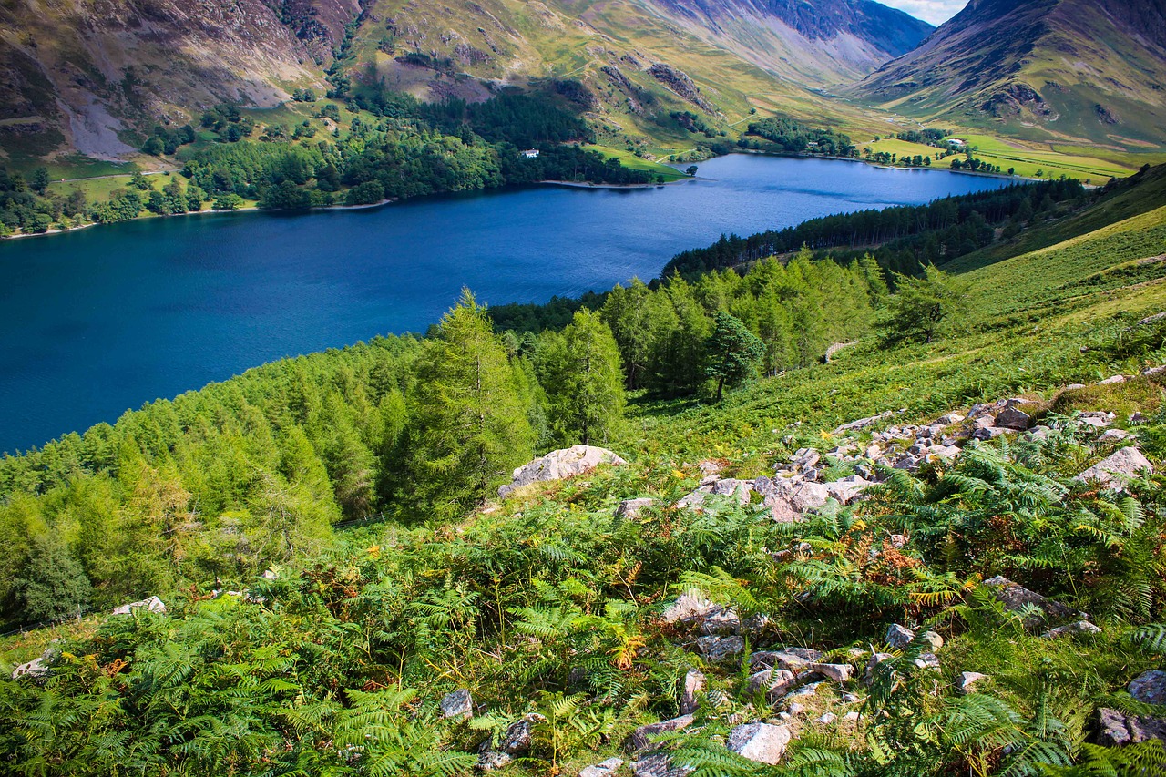 lake district  lake  beautiful scenery free photo