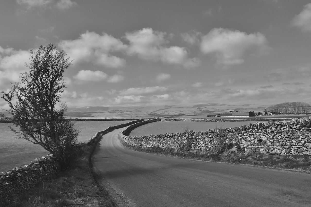 lake district  england  countryside free photo