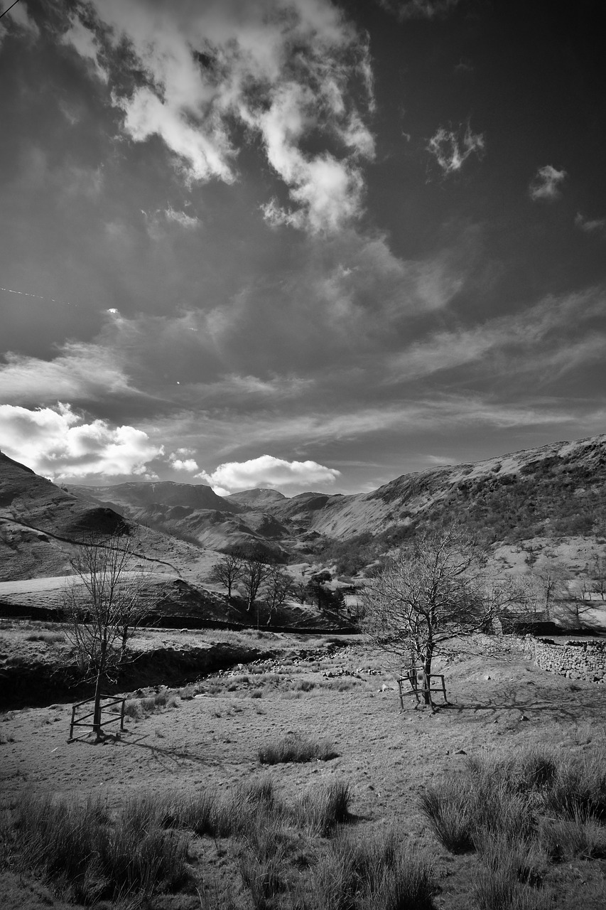 lake district  england  black and white free photo