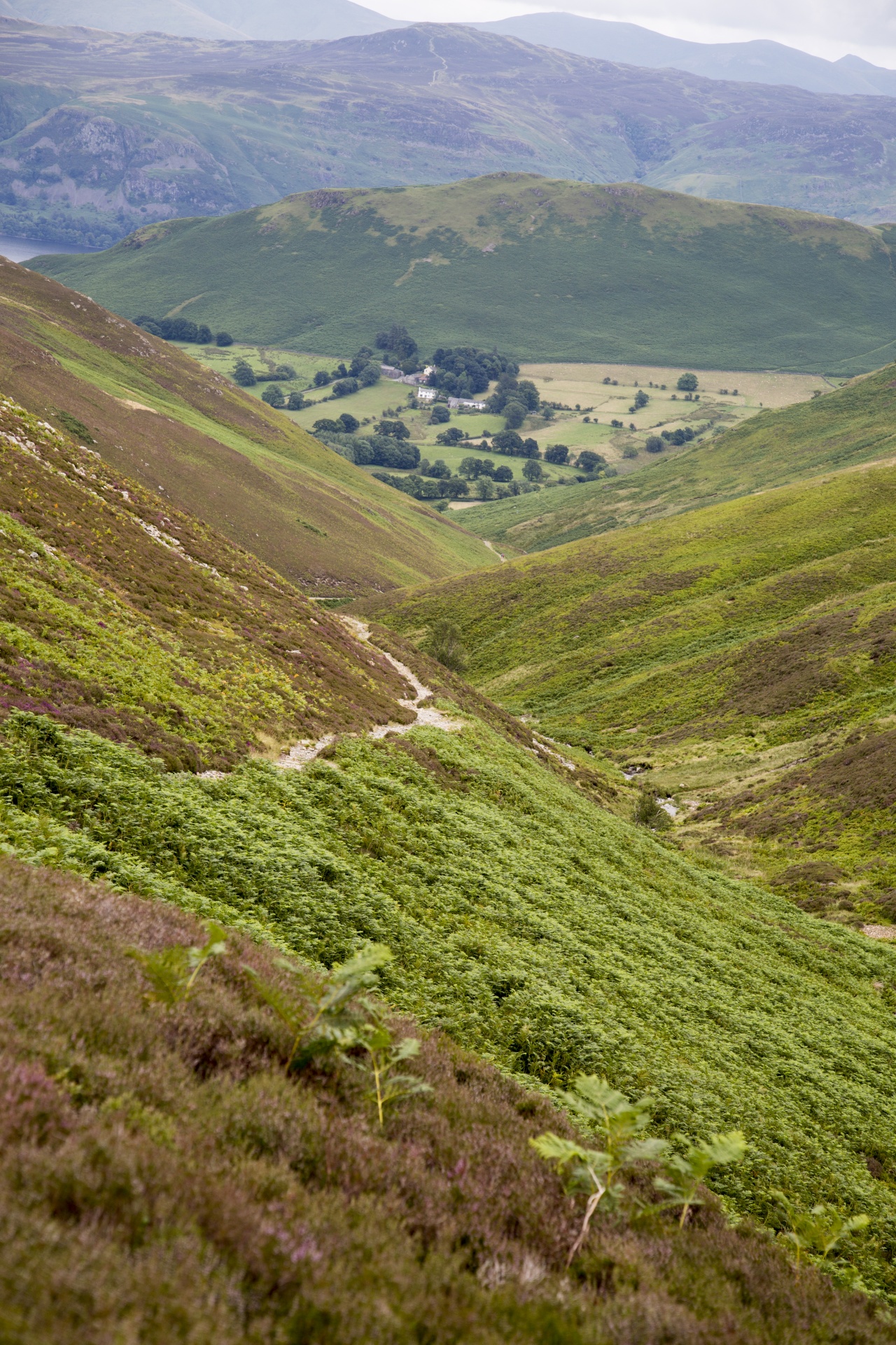 lake district uk free photo