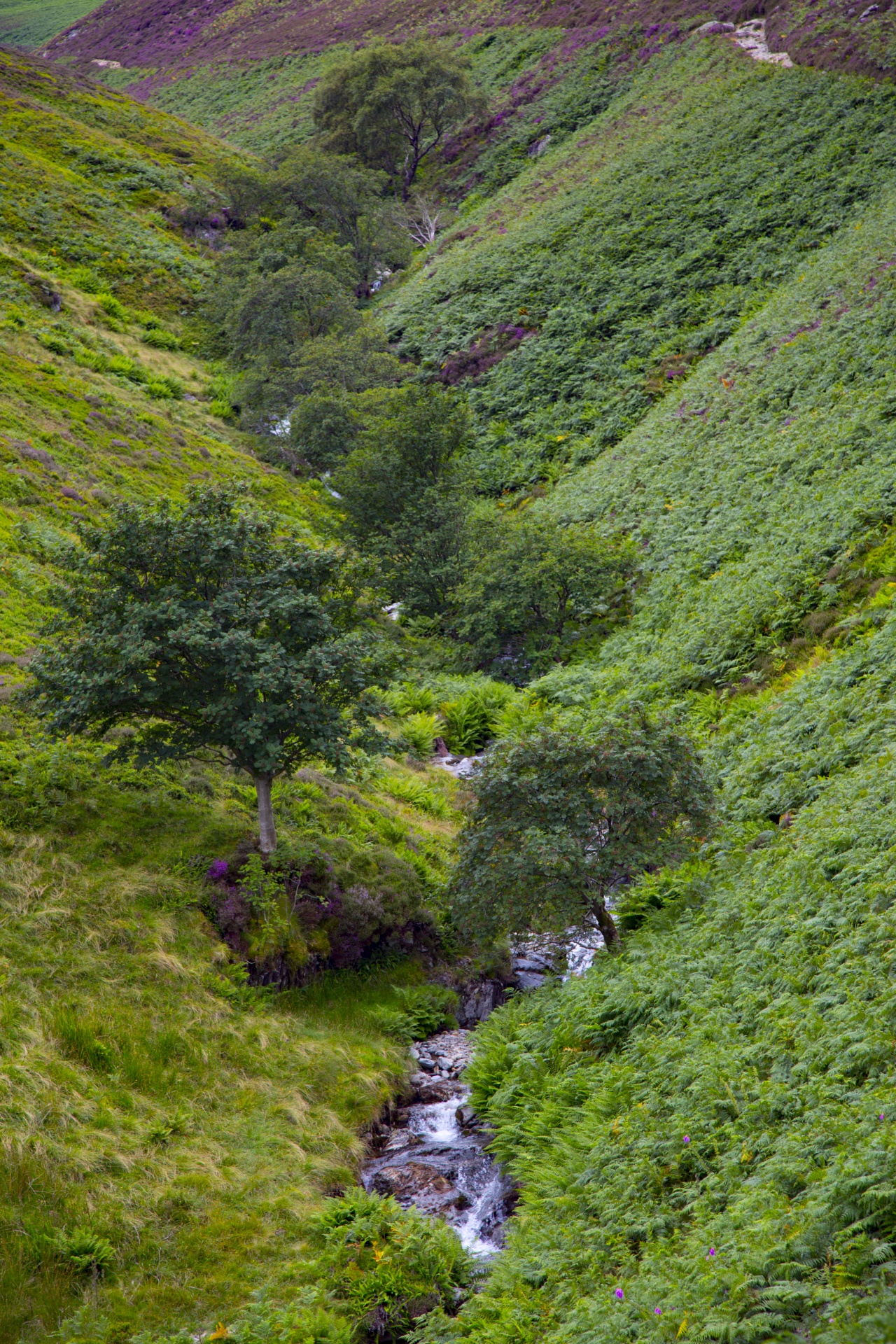 lake district uk free photo