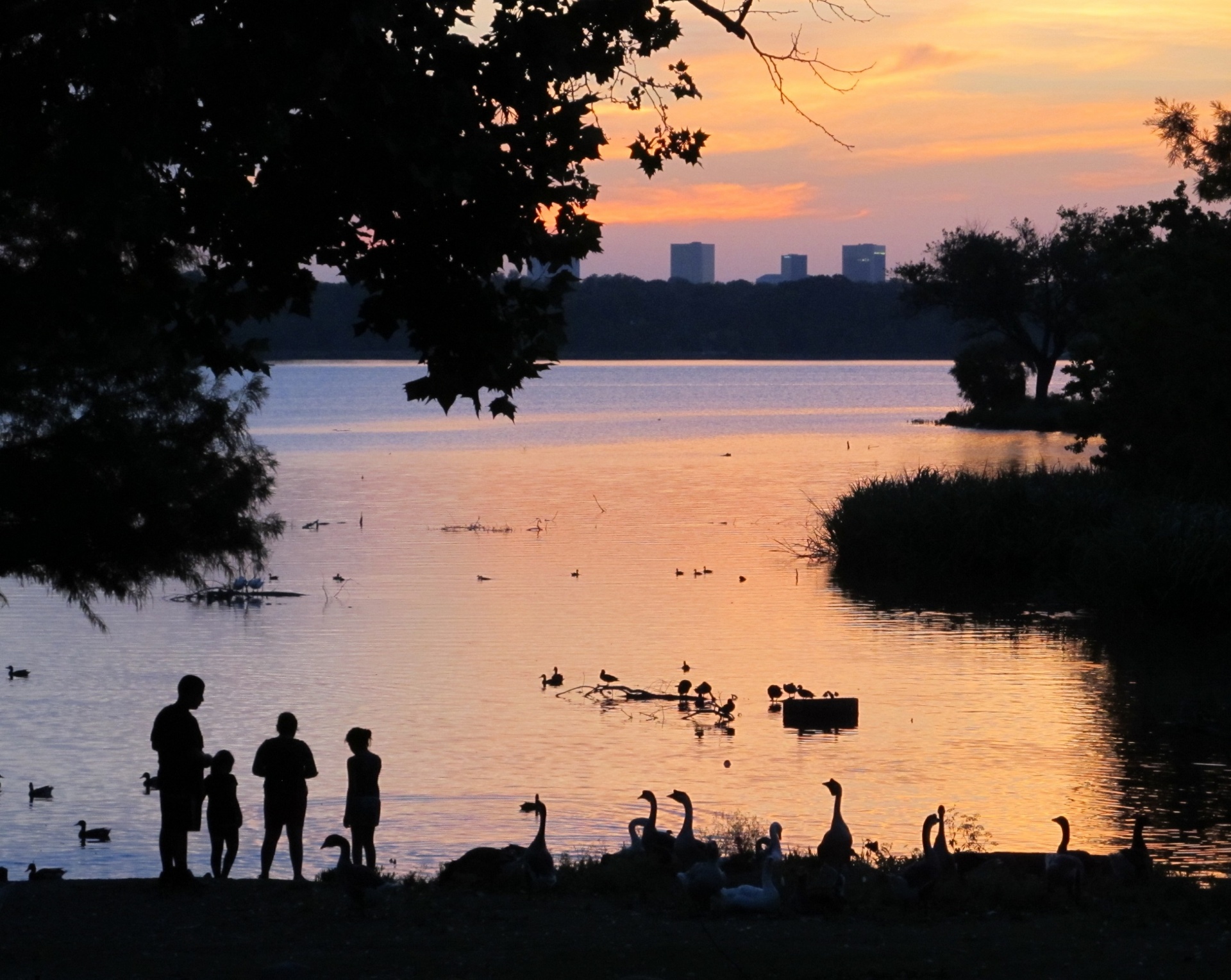 sunset dusk lake free photo