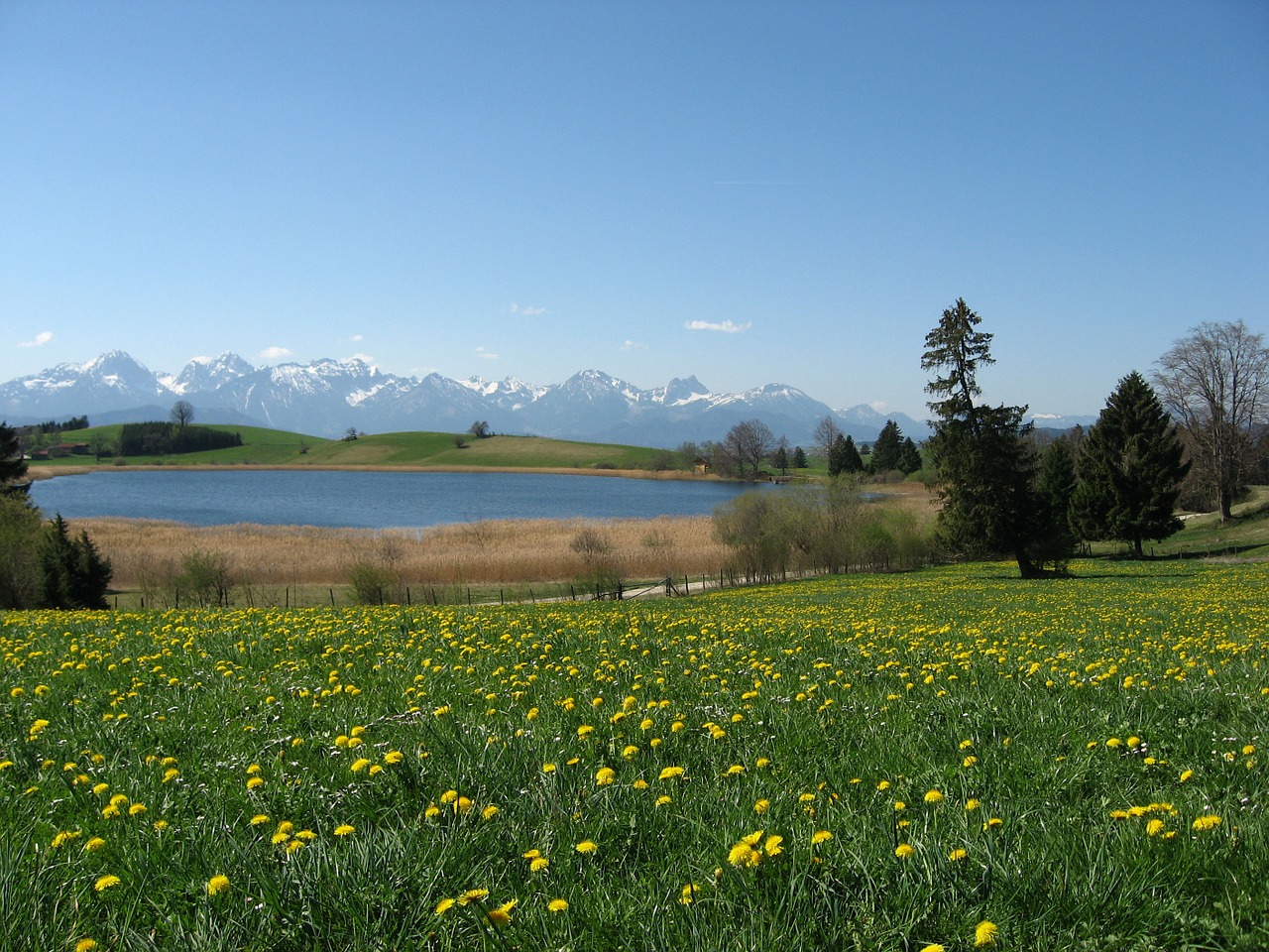 lake forggensee sky blue free photo