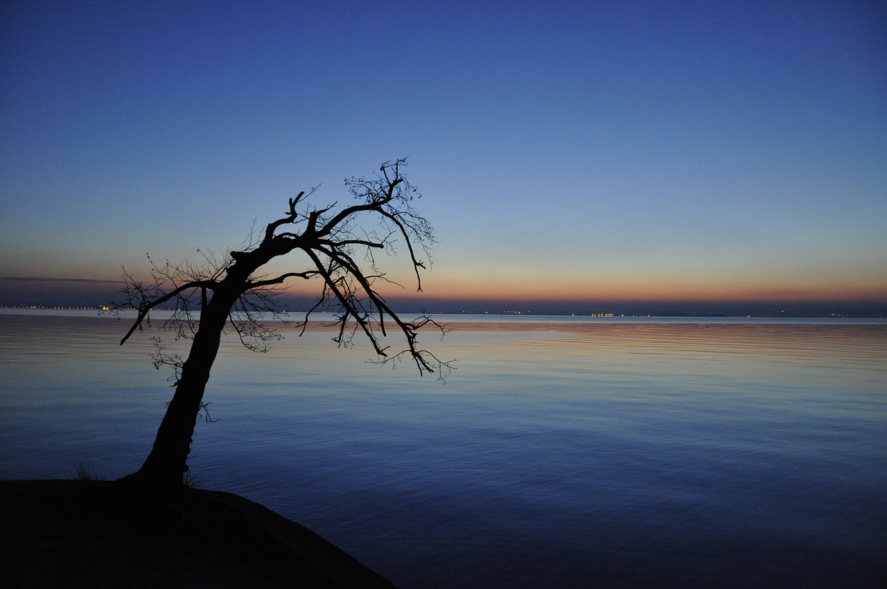 lake garda lazise winter free photo