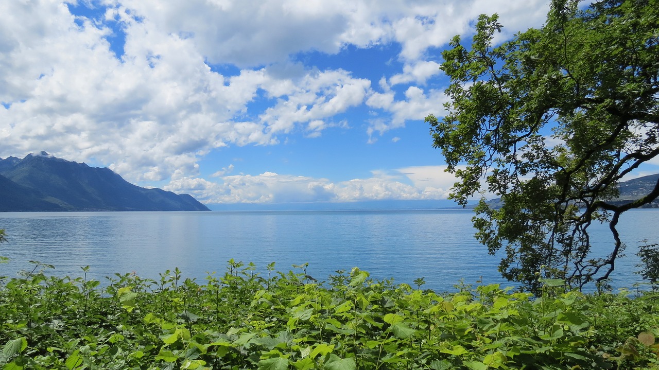 lake geneva geneva switzerland free photo