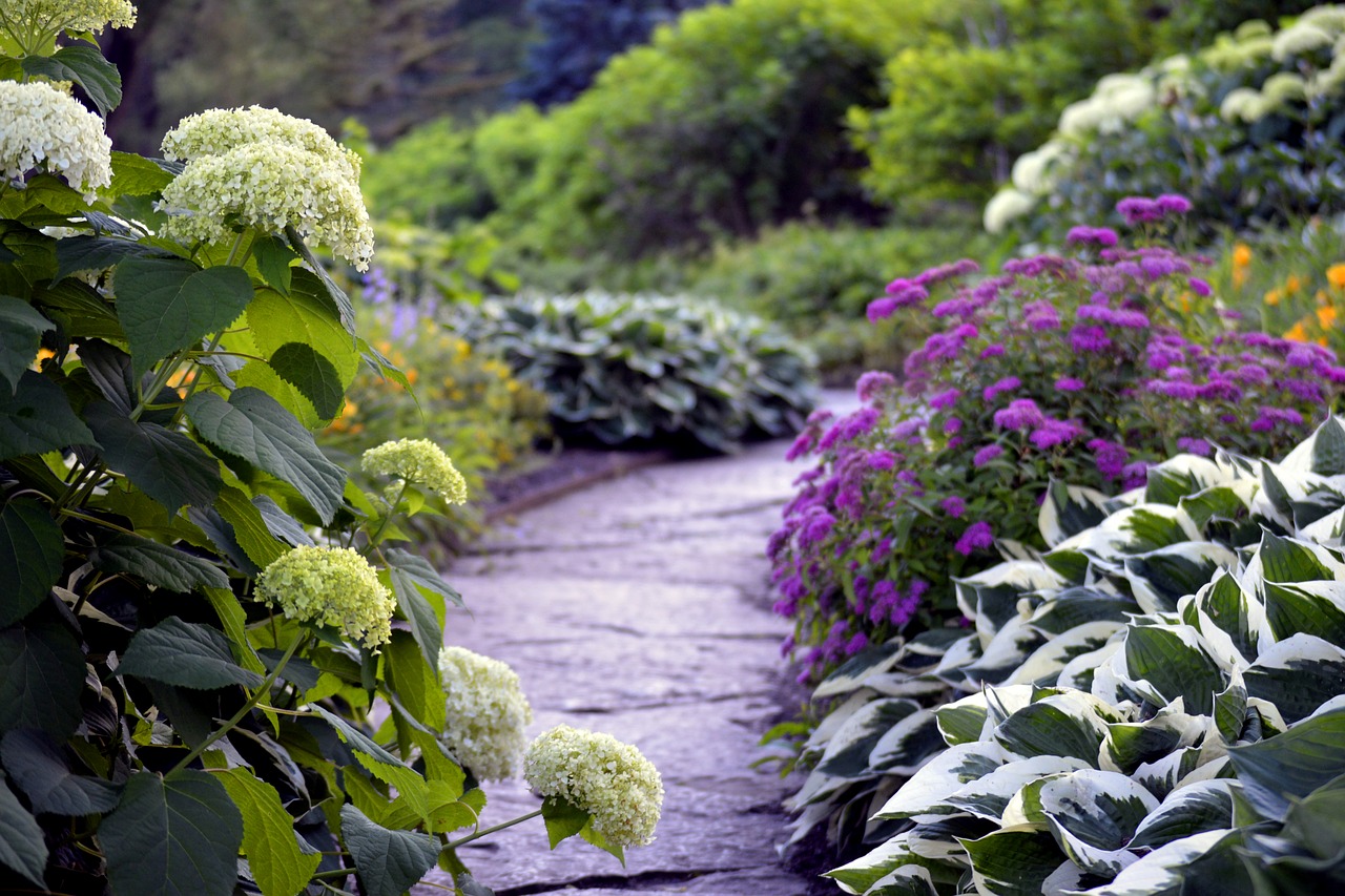 lake geneva  lakeshore  path free photo