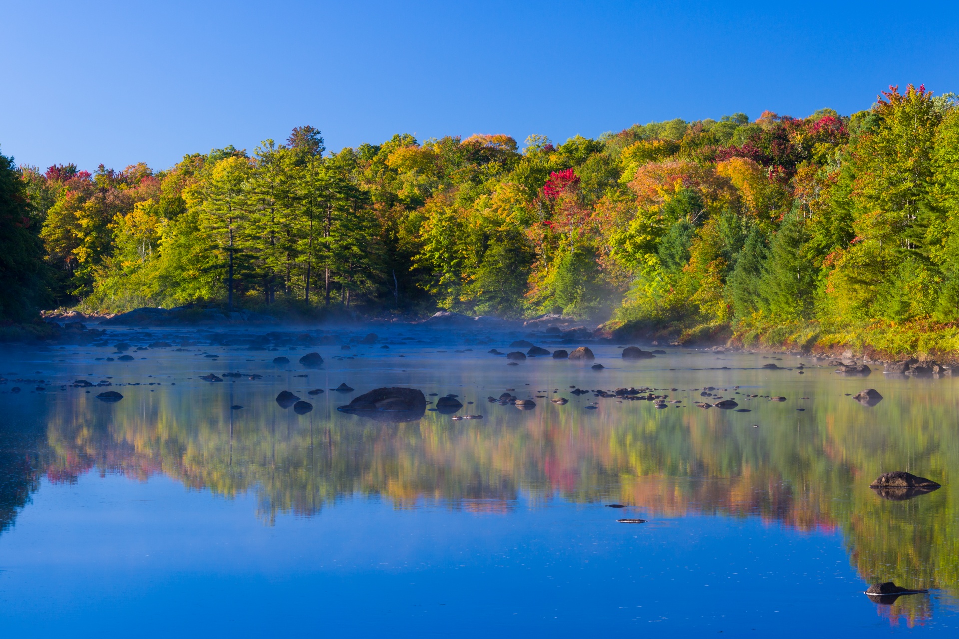 autumn beautiful colorful free photo