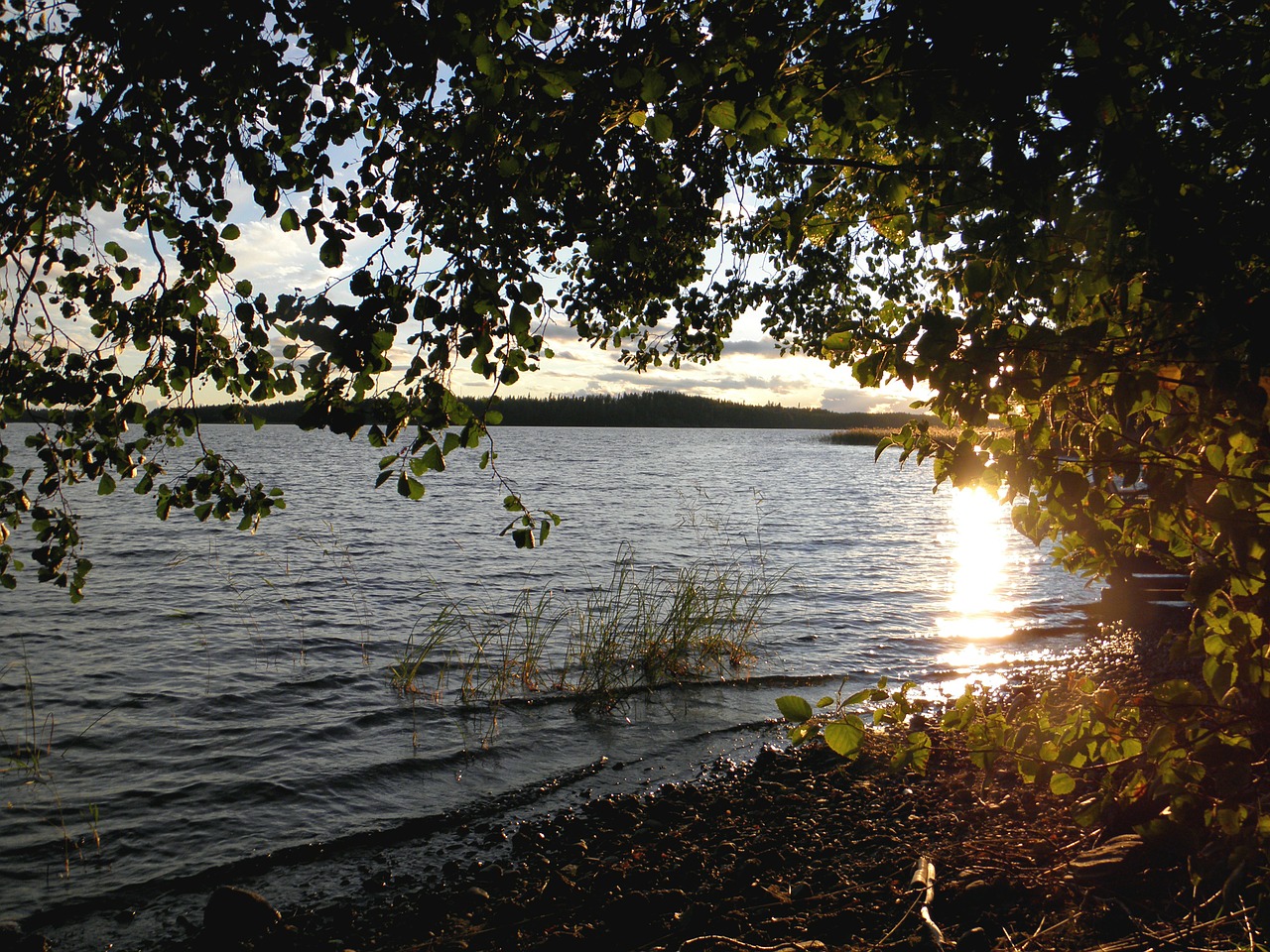 lake in finland savonlinna saimaa free photo