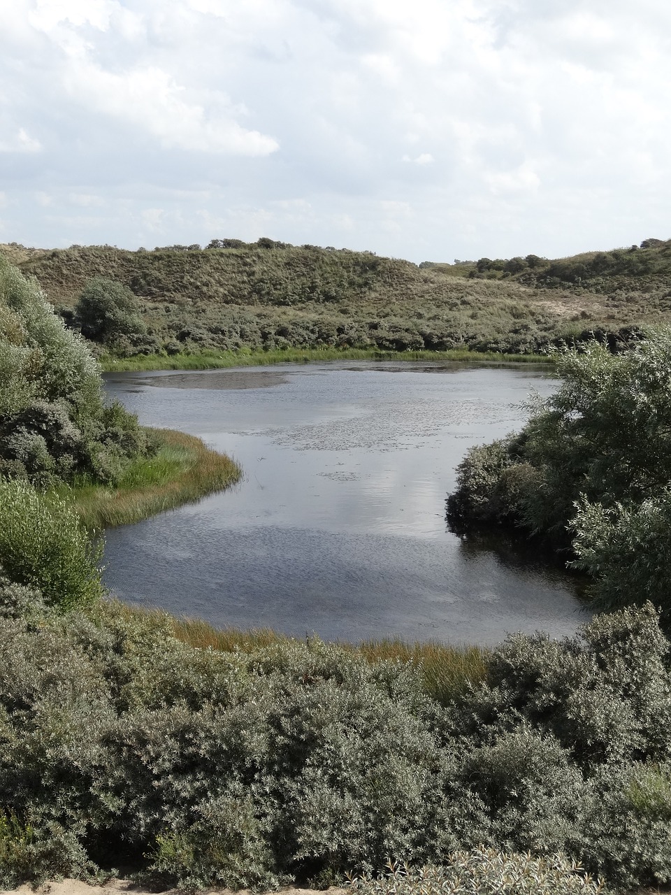 lake in the dunes dunes dutch landscape free photo