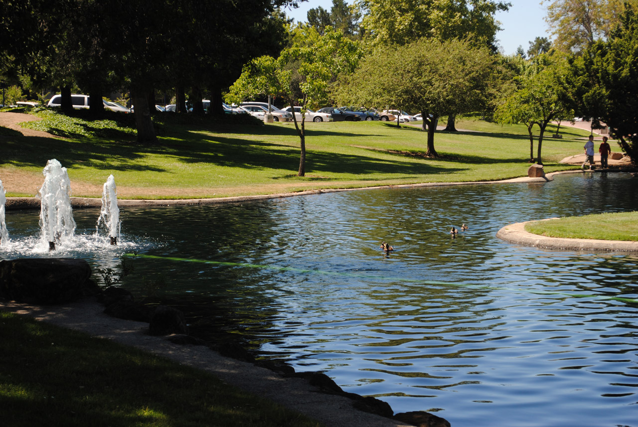 lake ducks lake in the park 2 free photo