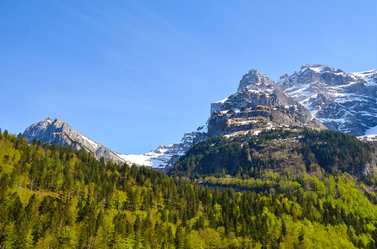 Level mountain. Summit гора. Summit. Alpine Forest. Mountain Level.