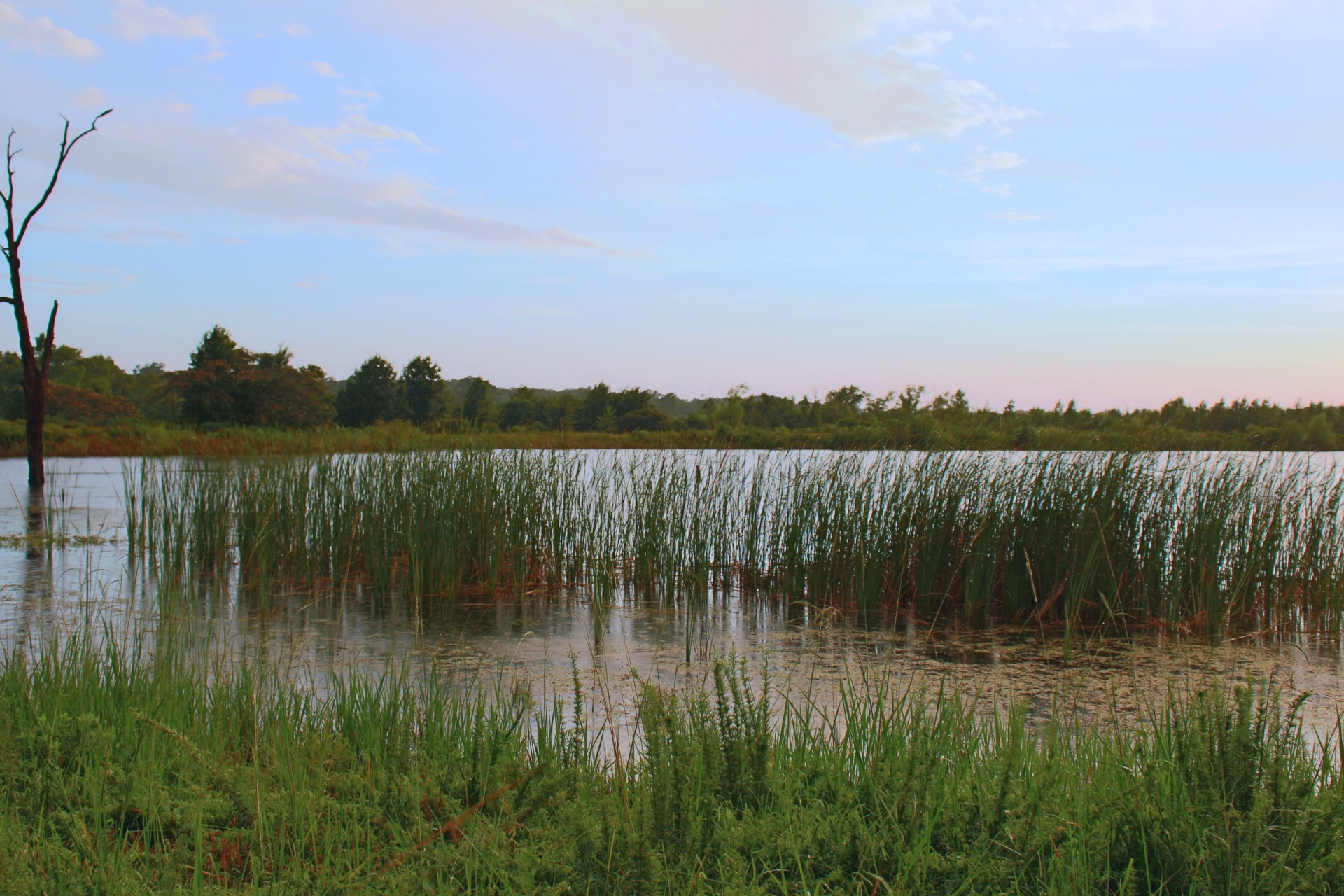 landscapes lake reflection free photo