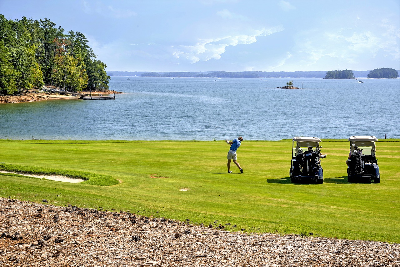 lake lanier lake water free photo