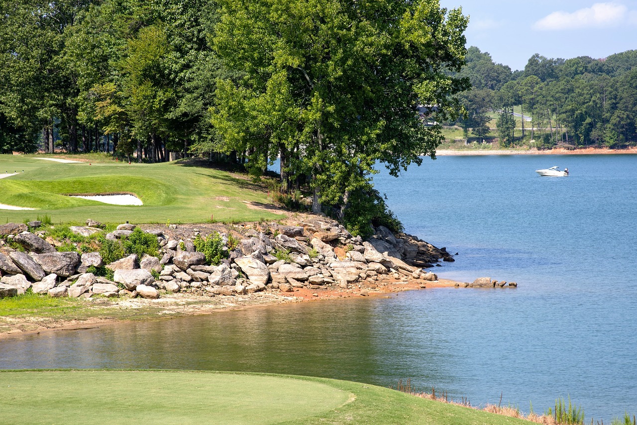 lake lanier lake water free photo