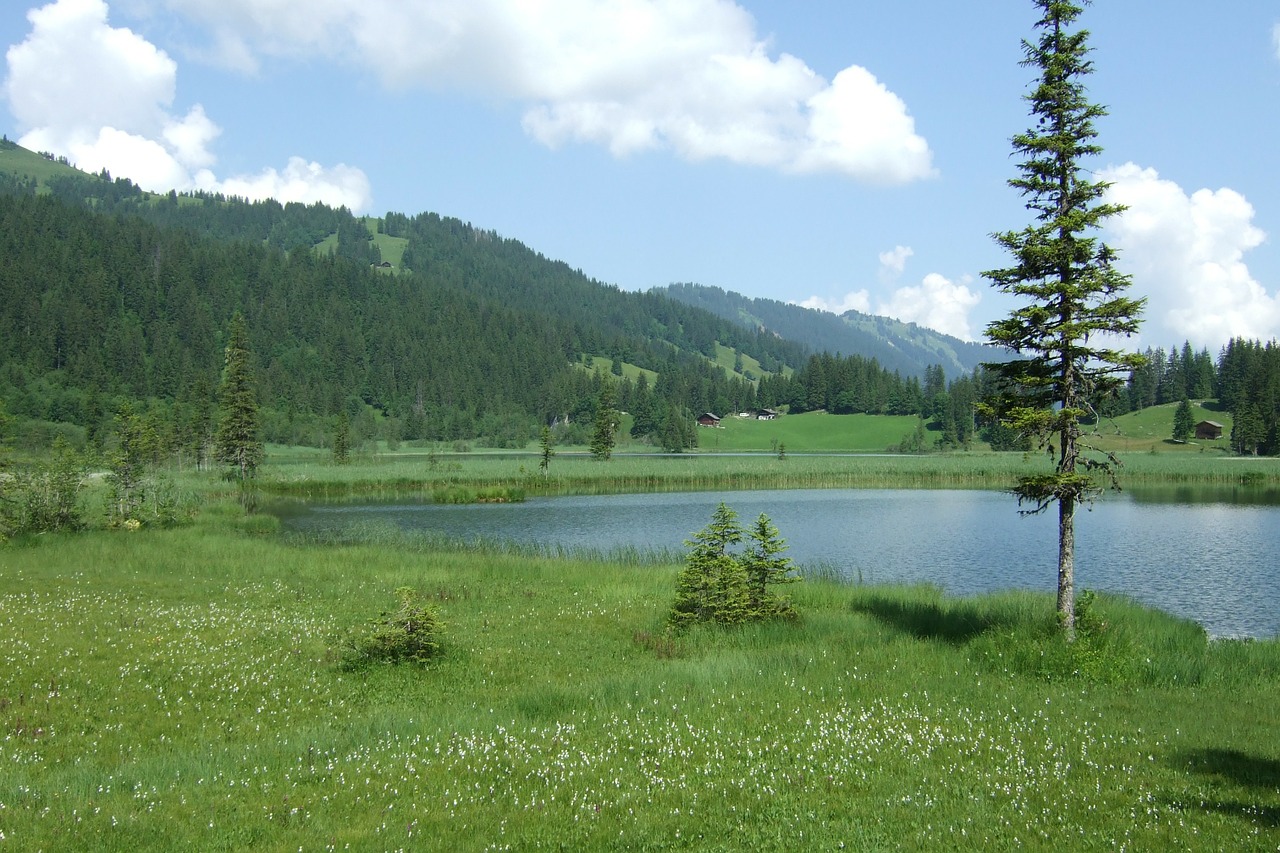 lake lauenen alpine switzerland free photo