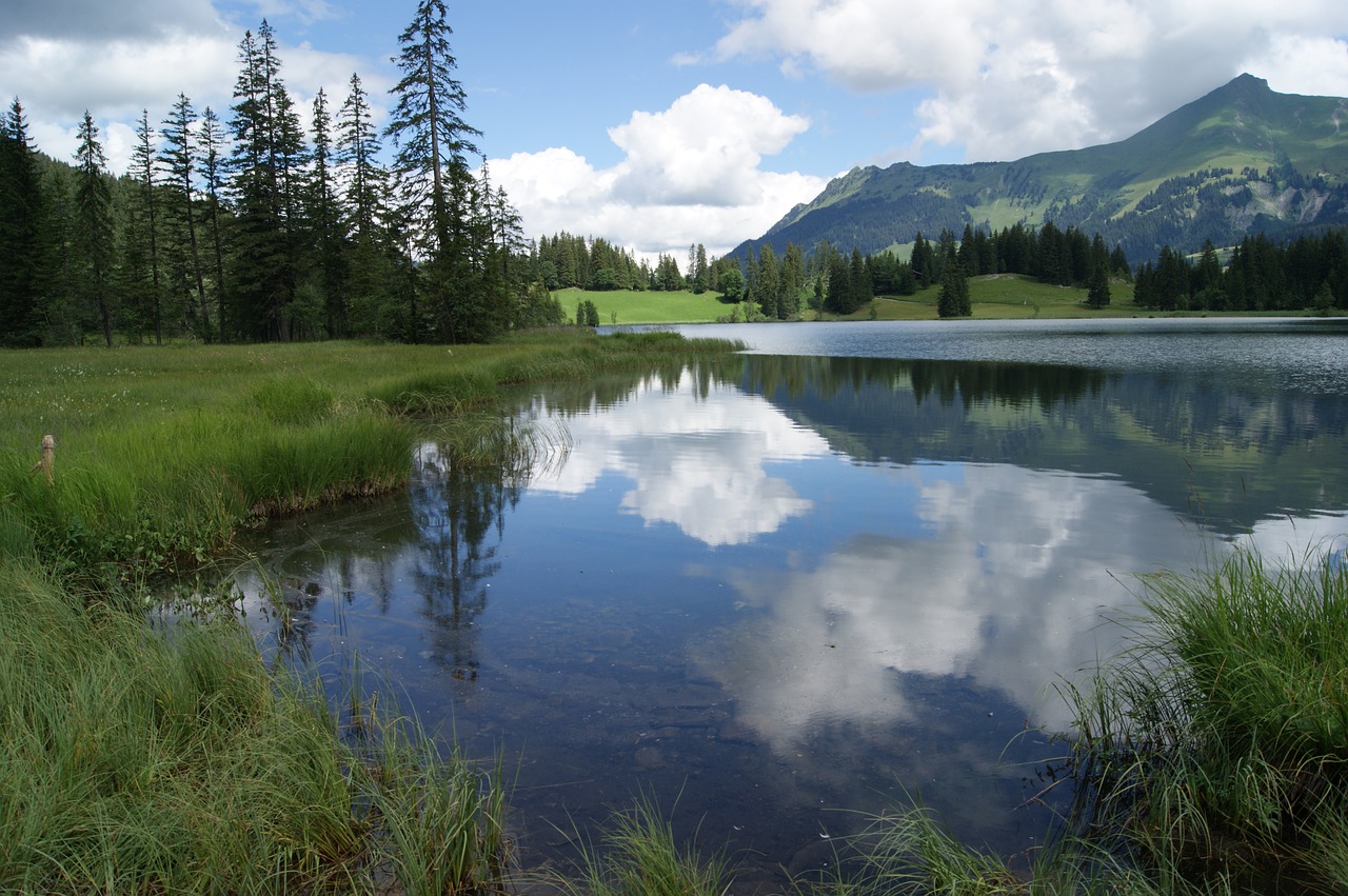 lake lauenen nature lake free photo