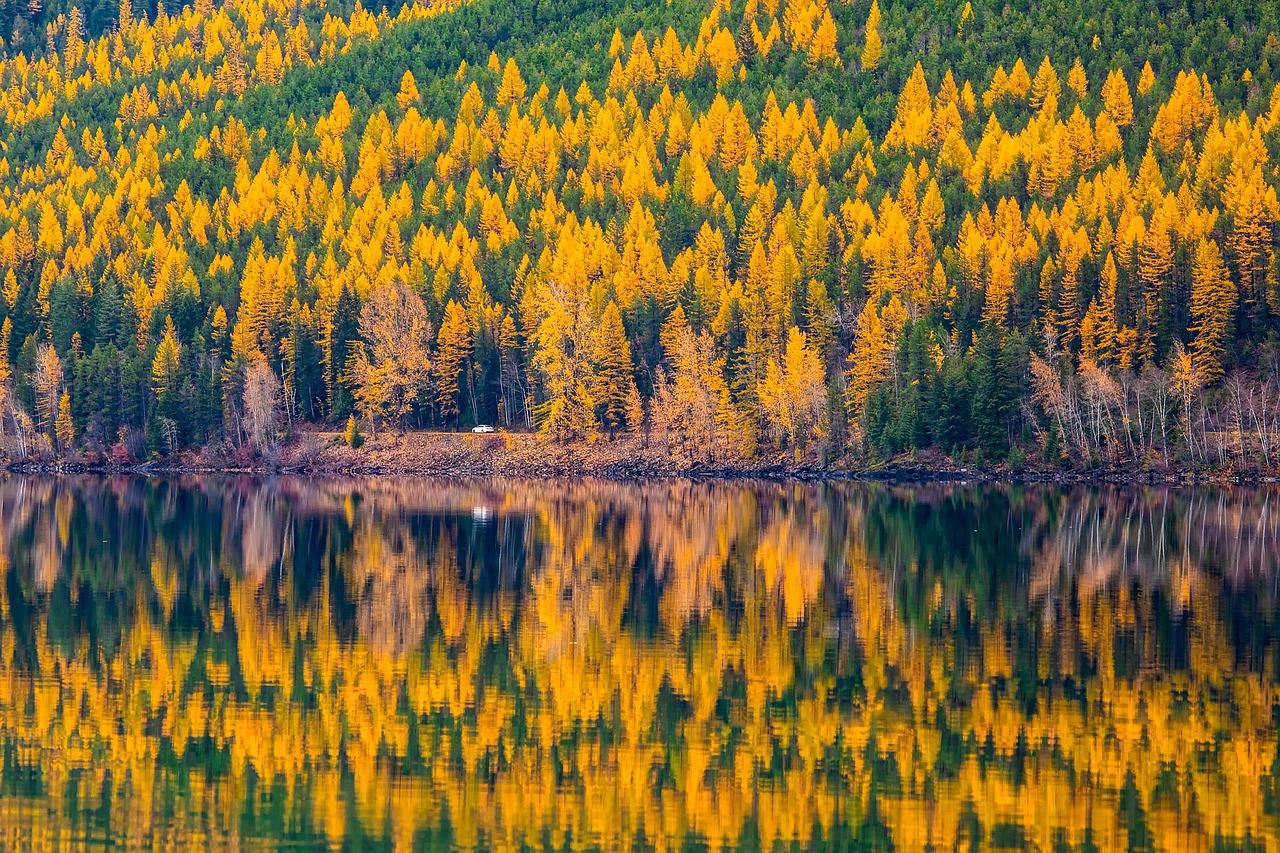 lake mcdonald glacier national park montana free photo