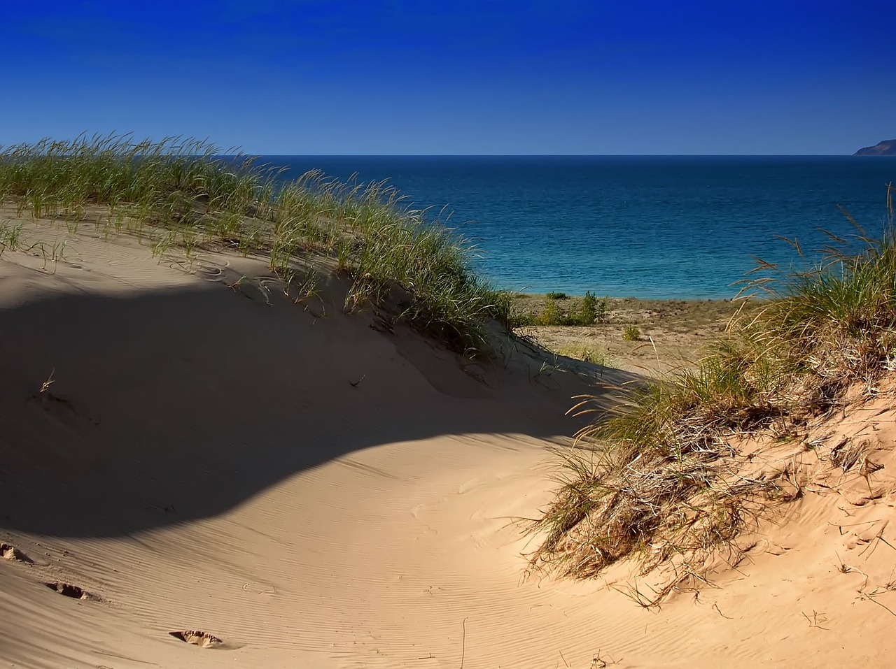 lake michigan sand dunes water free photo