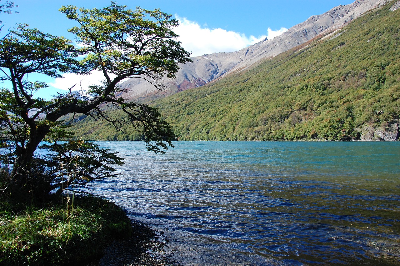 lake of the desert argentina patagonia lake free photo