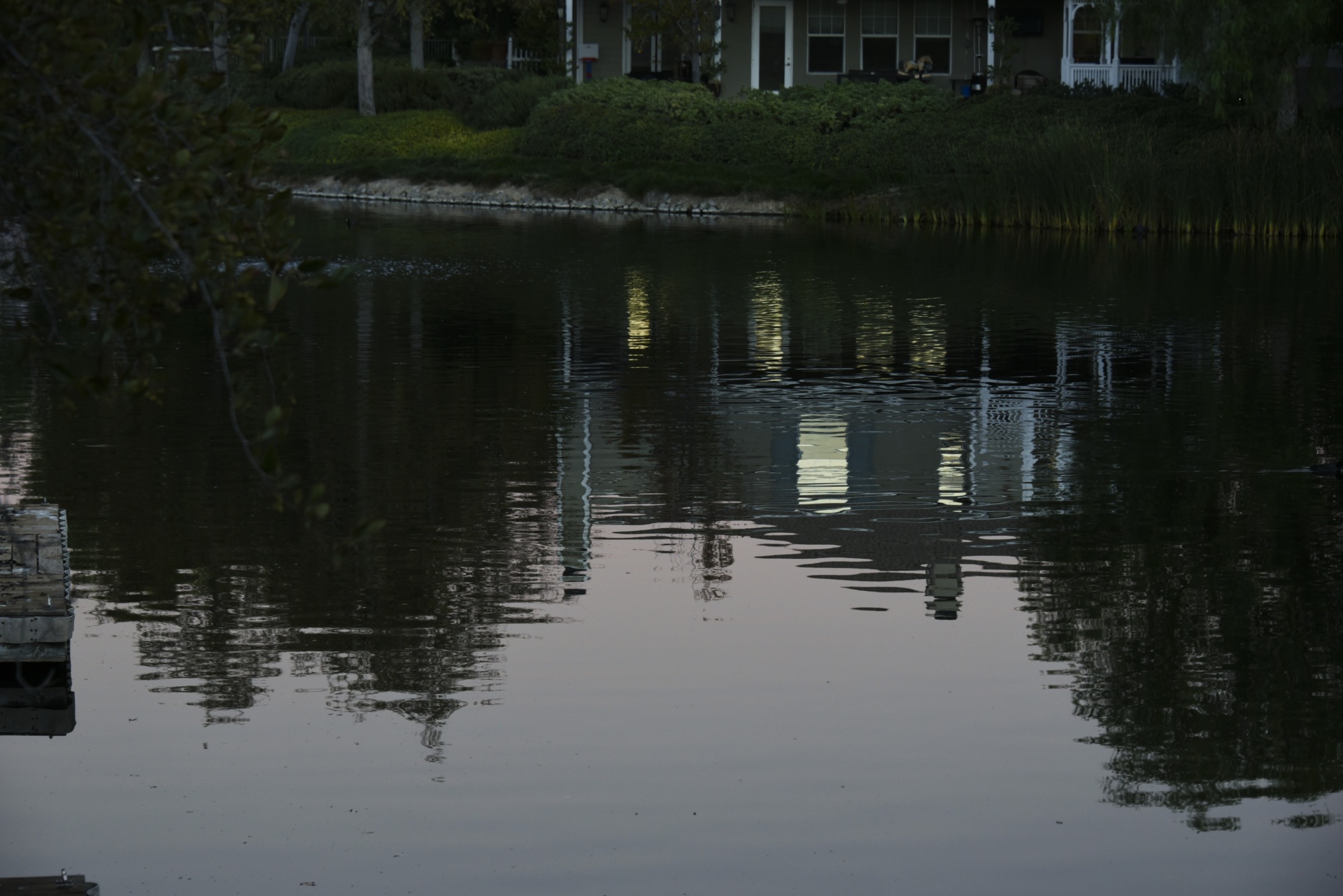 ripple lake houses free photo