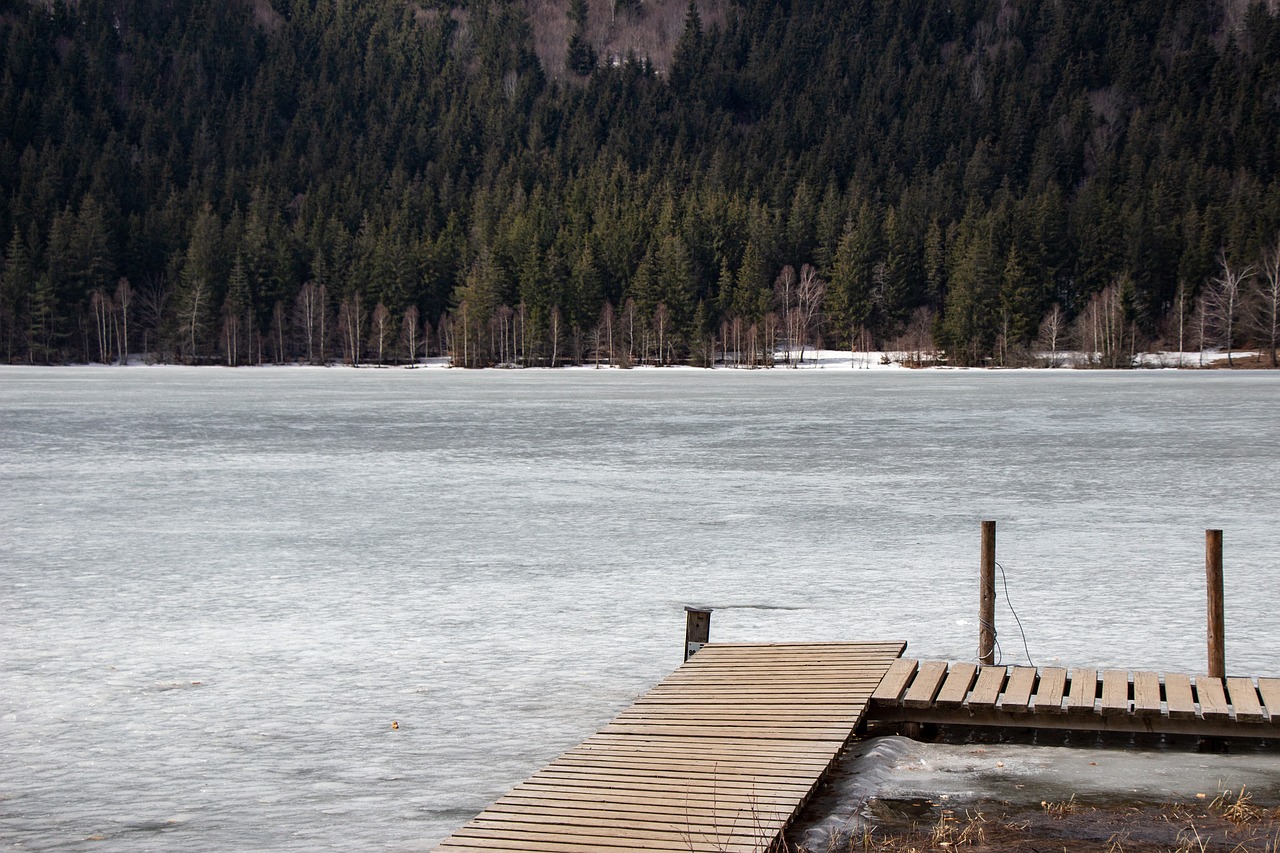 lake sfânta ana  transylvania  romania free photo