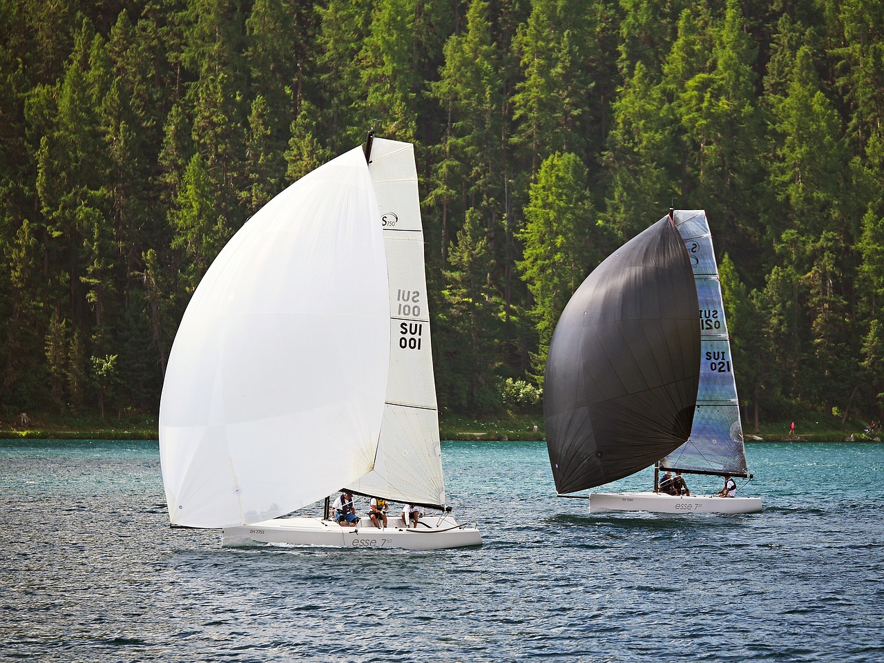 lake st moritz sail regatta free photo