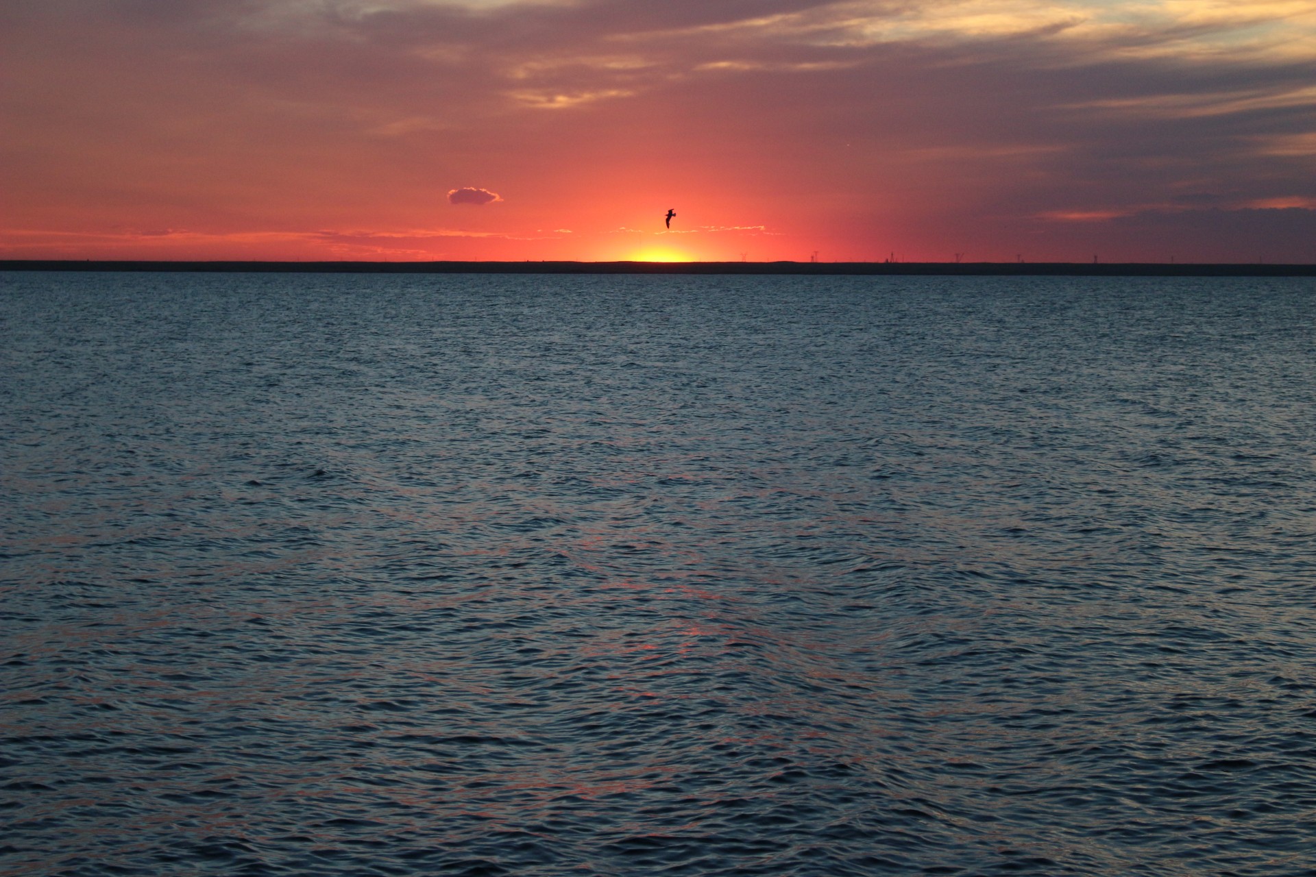 lake sunset lake sunset free photo