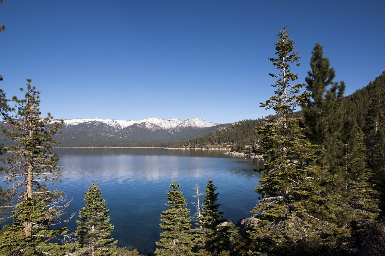 lake tahoe california water free photo